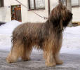 febe13 small