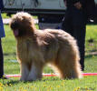 winston 27.4.2025 small