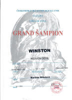 winston cesky sampion small1
