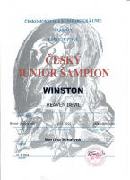 winston cesky junior small1