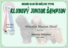 winston klubovy junior small1