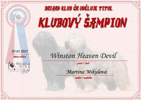 winston klubovy sampion small1