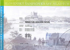 winston slovensky junior small1