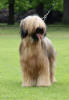 coco 4.6.2023 small