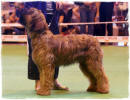 champ-francia-142 small