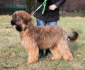 jacquy-21.12.2013 small