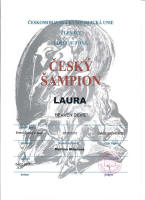 laura cesky sampion small1