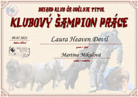 laura klubovy prace small1