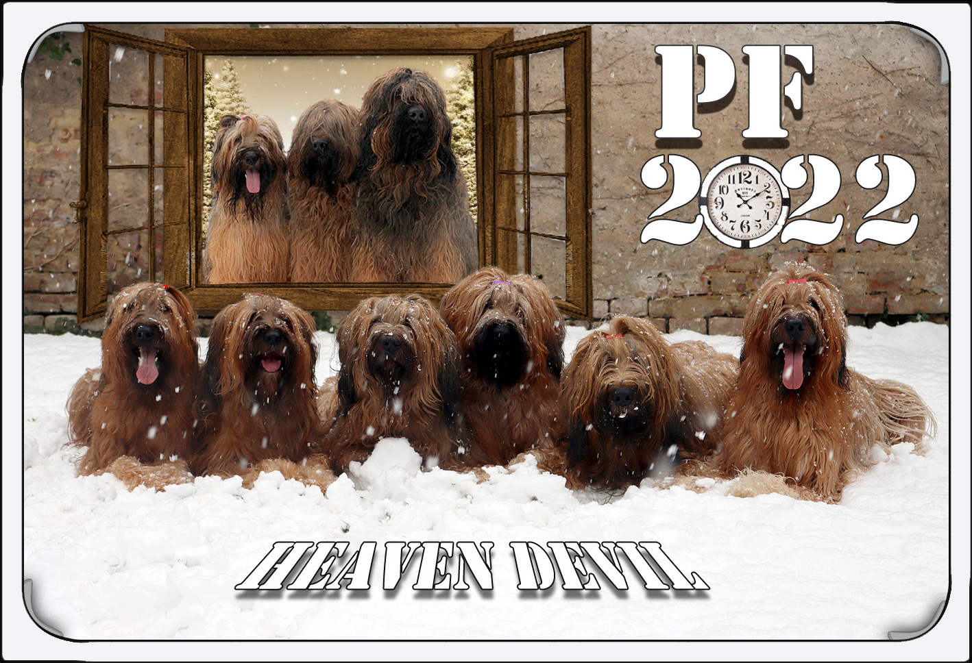 PF 2022