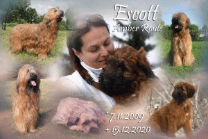 escott 1 small