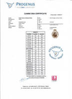 Quido DNA small