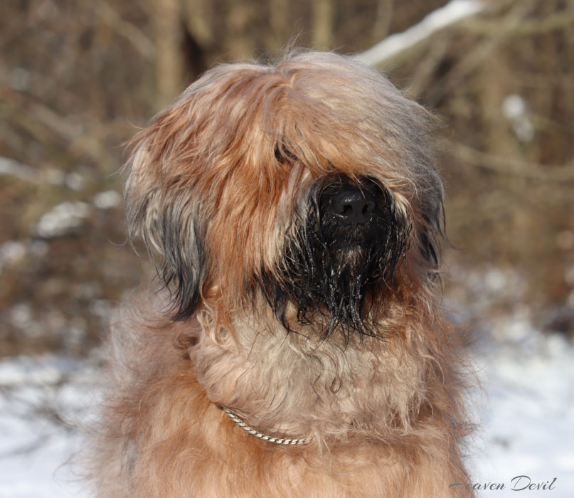 rusty 14 2 2021 1