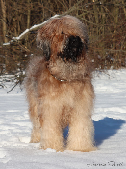 rusty 14 2 2021 3