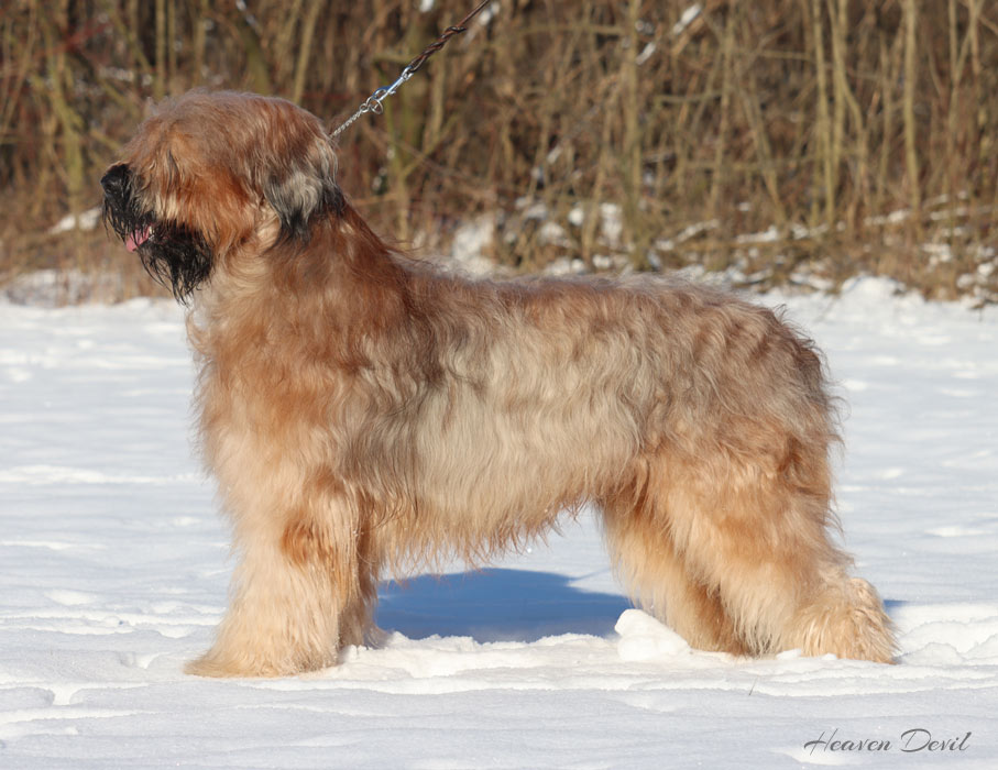 rusty 14 2 2021 4