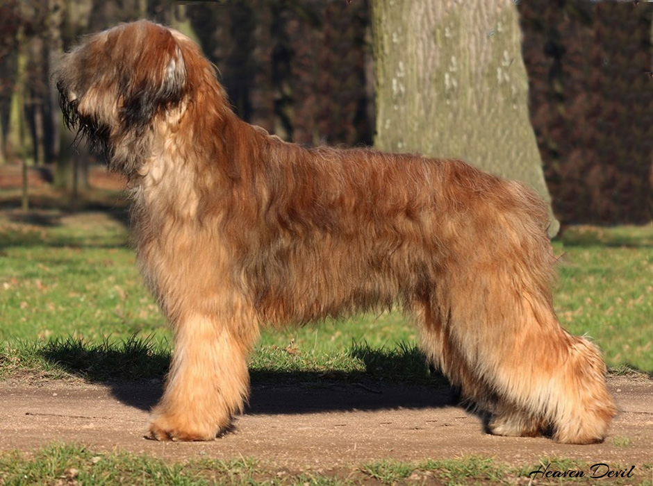rusty 212020 1
