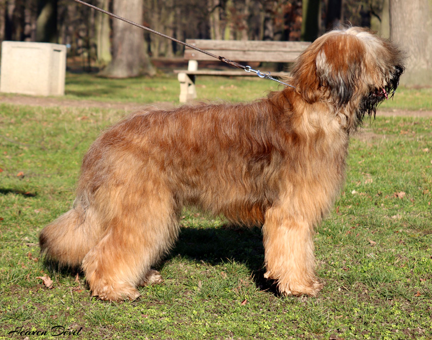 rusty 212020 2