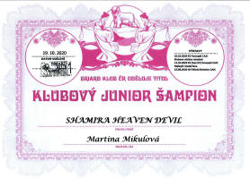 shamira klubovy junior small1