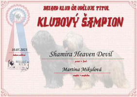 shamira klubovy sampion small1