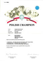 shamira polsky sampion small1