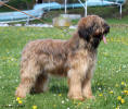 theresa 8 5 2021 small