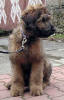 fabien4 small