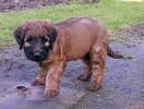 gwenneth1 small