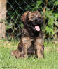 fena ruzova 10 7 2020 2 small