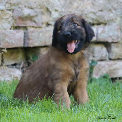 fena oranzova vanesa 6 7 2021 small