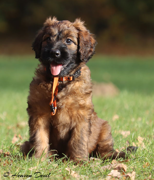 yosephine1 19.10.2025