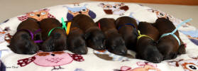 vrhZ 22.3.2026 1 small