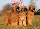 escott-nessi-jessi-2.3.2014-2 small