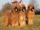 escott-nessi-jessi-2.3.2014 small