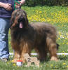 konopac 8 5 2021 orwell1 small