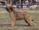 NE 392022 coco small