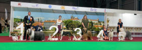praha 682022 query big3 1 small
