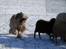 theresa 2112022 2 small