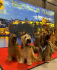 praha 30.11.2024 small