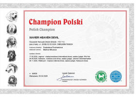 xavier polsky sampion small1