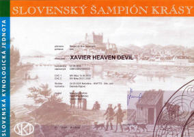 xavier slovensky sampion small1