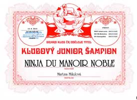 Ninja-Klubový-junior small