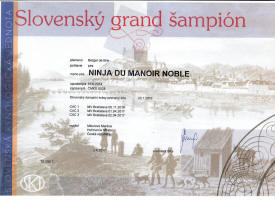 Ninja slovensky grand sampi small1