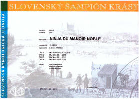 Ninja-slovensky-sampion small