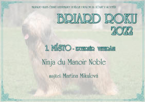 ninja BR 2022 veteran small1