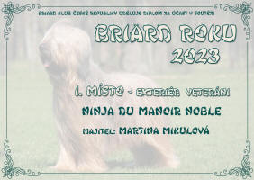 ninja BR 2023 veteran small1