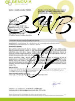 ninja-CSNB small1