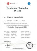 ninja VDH champion small1