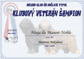 ninja klubovy veteran small1