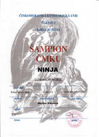ninja sampion cmku small1