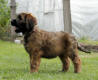 charkey5 small1