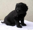 harwey3 small